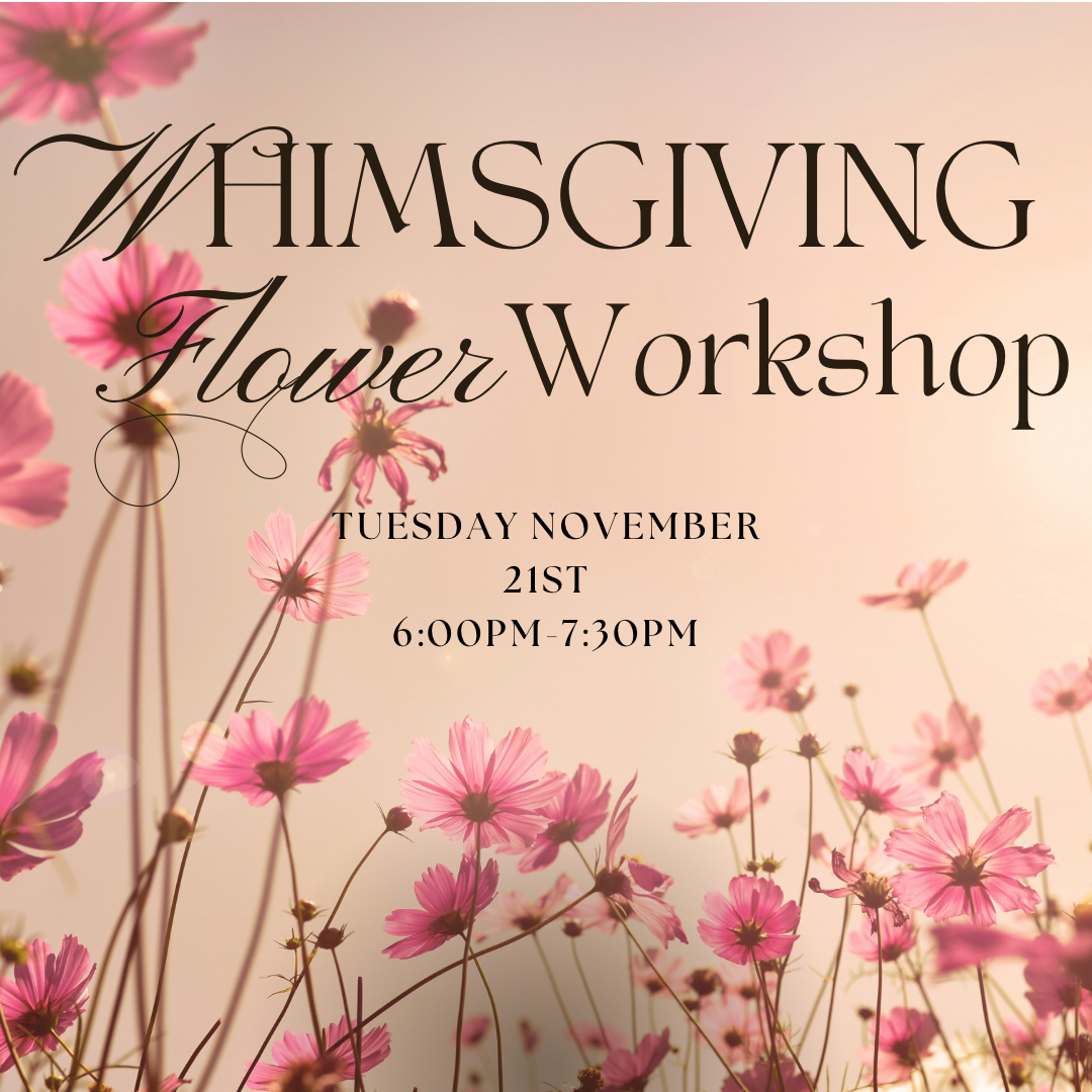 WHIMSGIVING Workshop